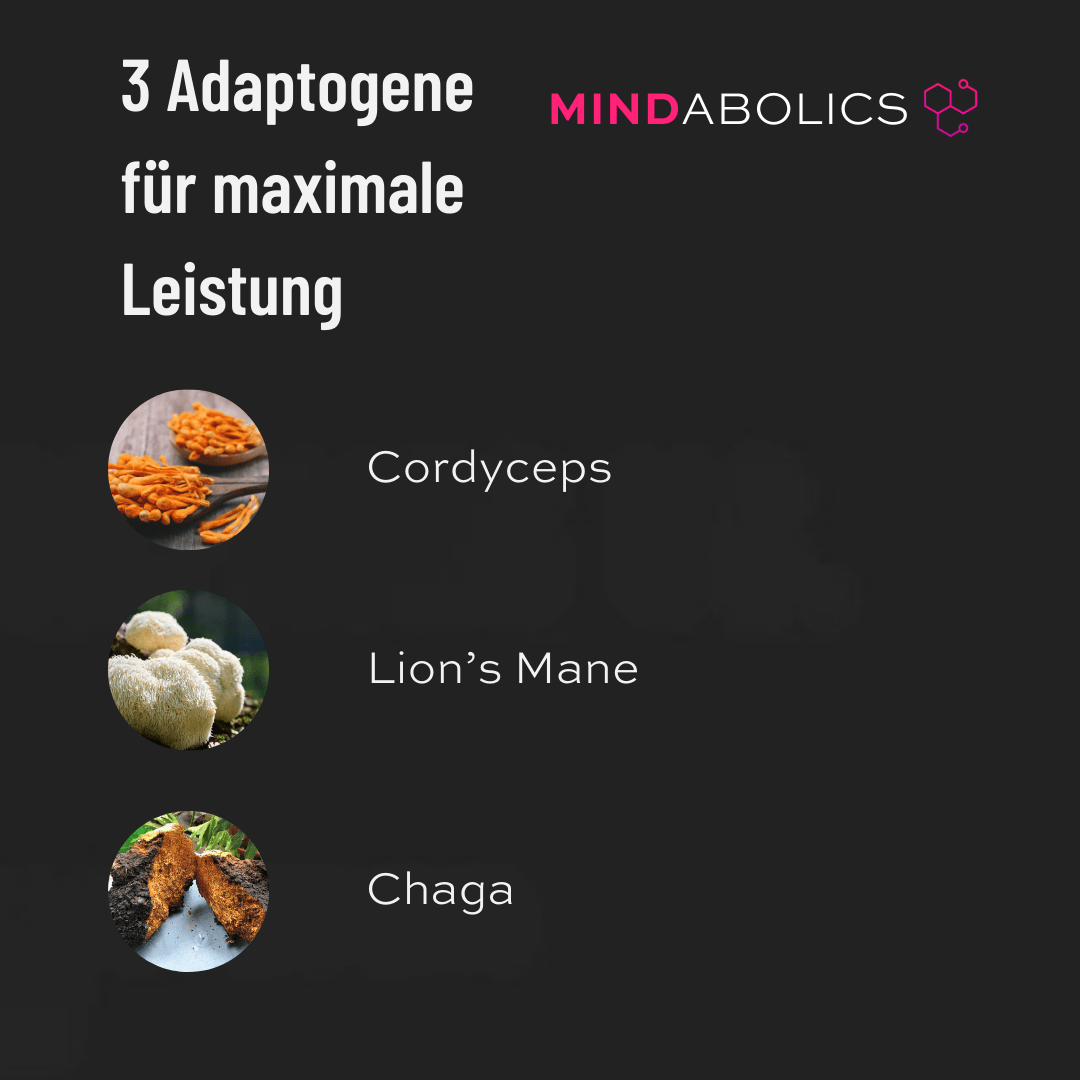 Adapto Whey - Mindabolics - 