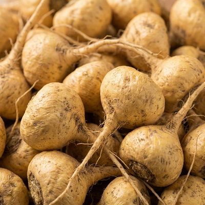 Maca