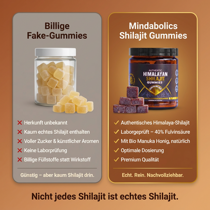 Mindabolics Shilajit Gummies