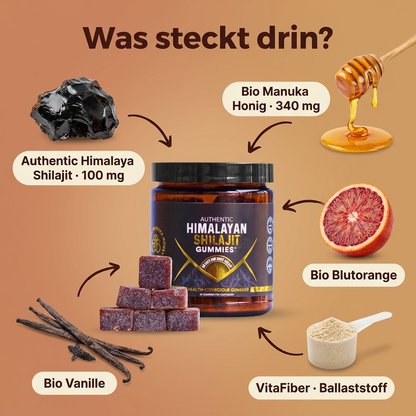 Mindabolics Shilajit Gummies