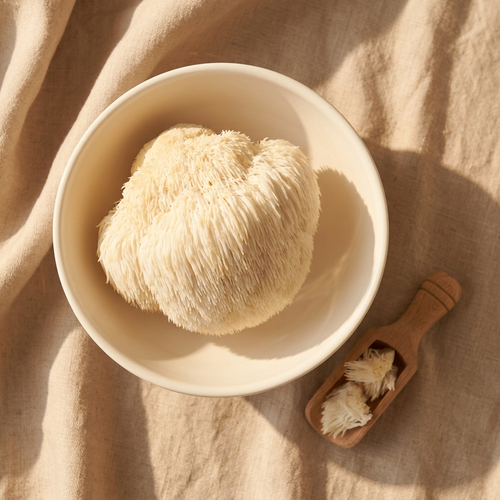 Clear mind through medicinal mushrooms