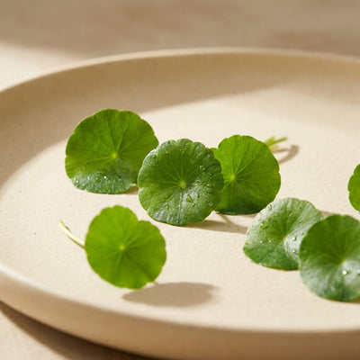 Gotu Kola